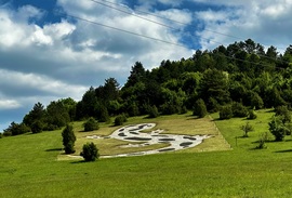 Szalamandra