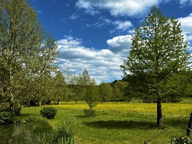 Szinpetri
