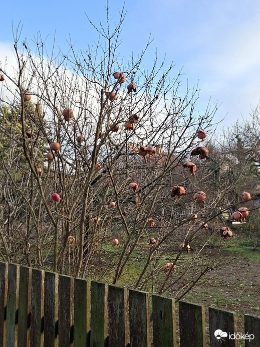Budapest XVI.ker - Mátyásföld