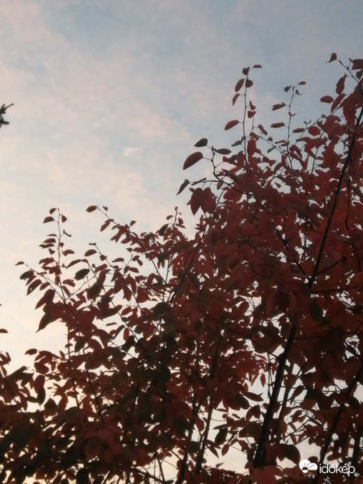 Budapest XVI.ker - Mátyásföld