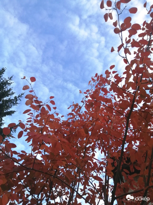 Budapest XVI.ker - Mátyásföld