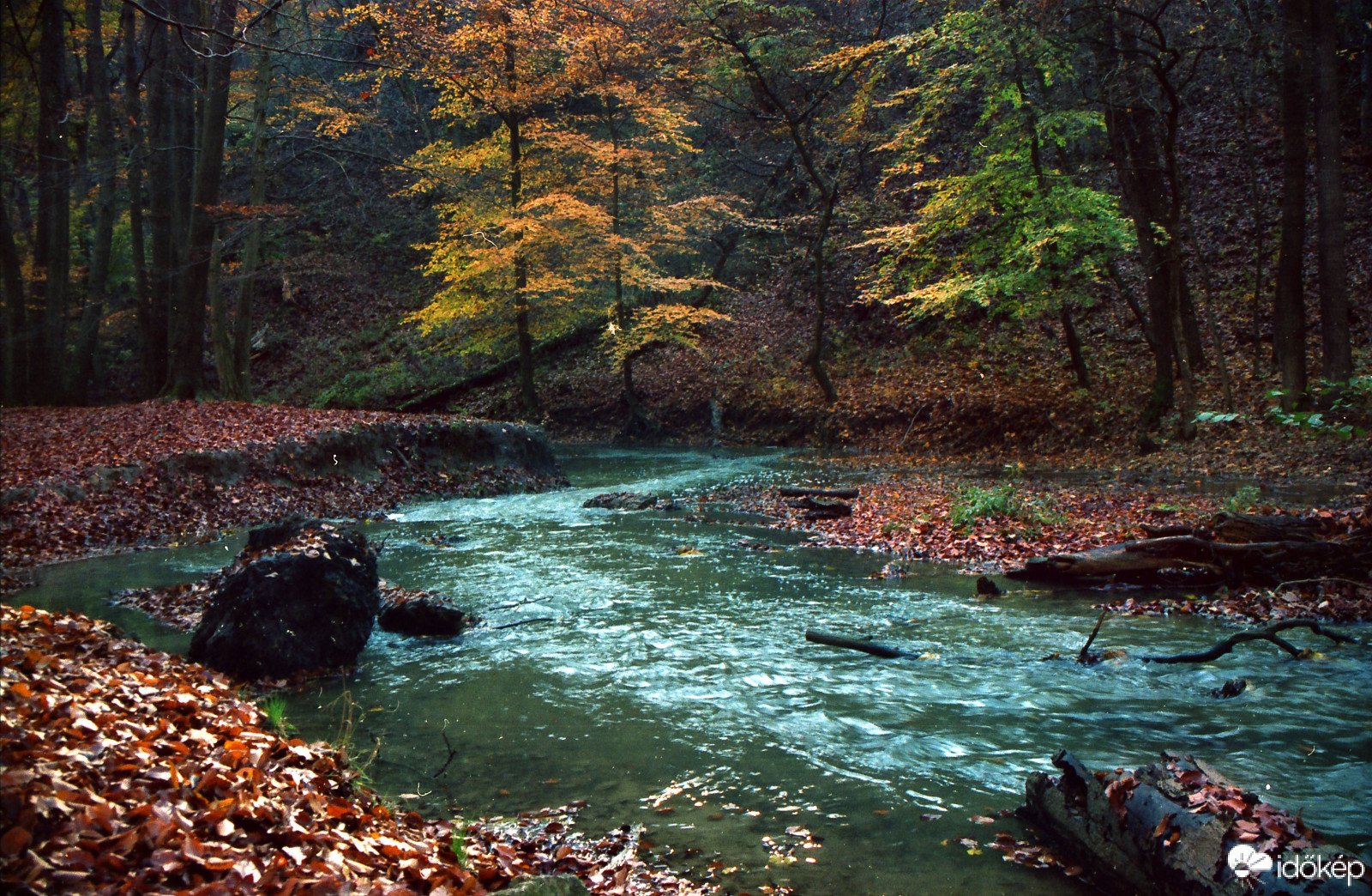 Gaja-szurdok,Canon eos 5 slr,Kodak Portra 400 negatív