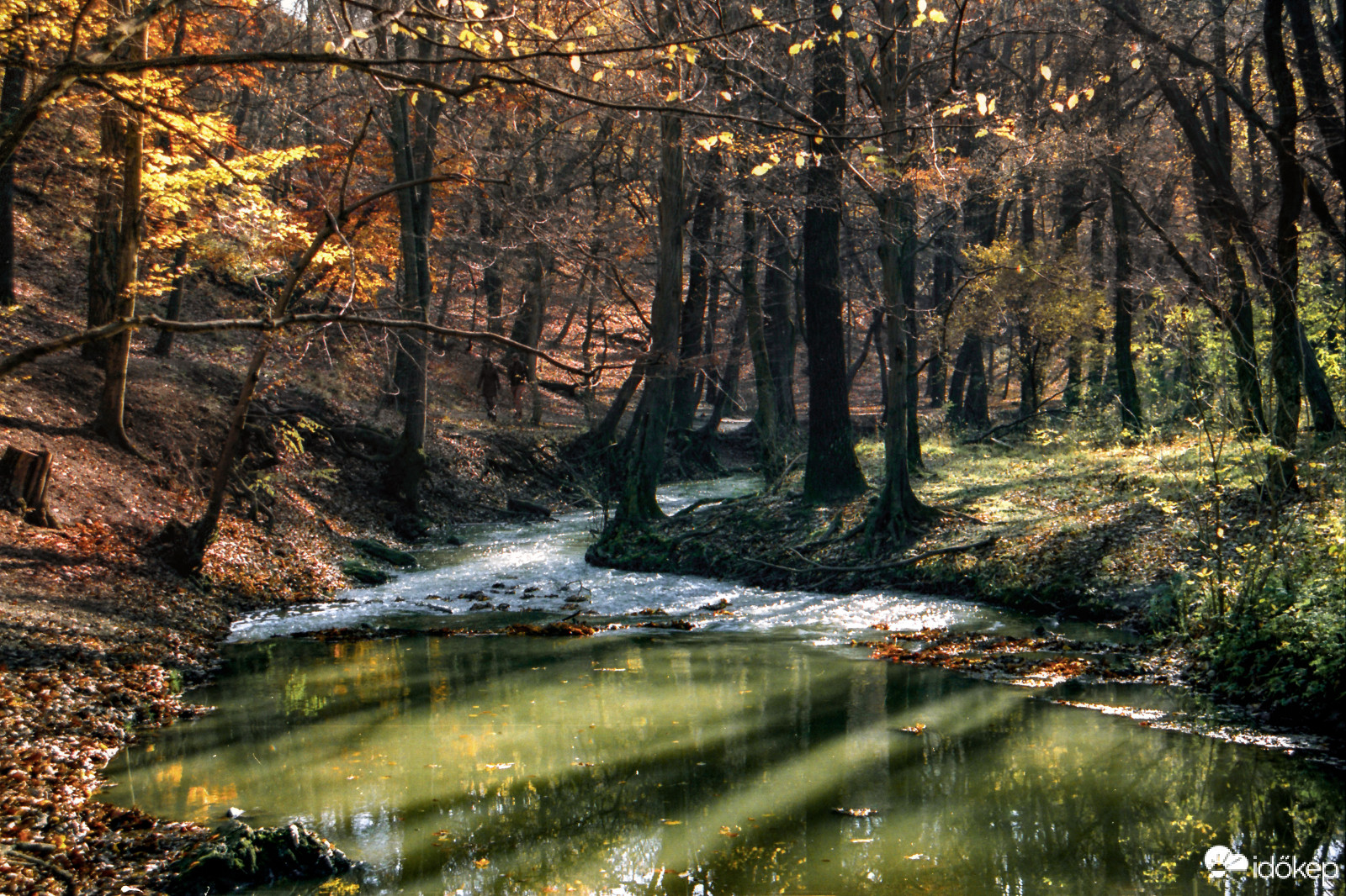 Gaja-szurdok,Canon eos 5 slr,Kodak Portra 400 negatív