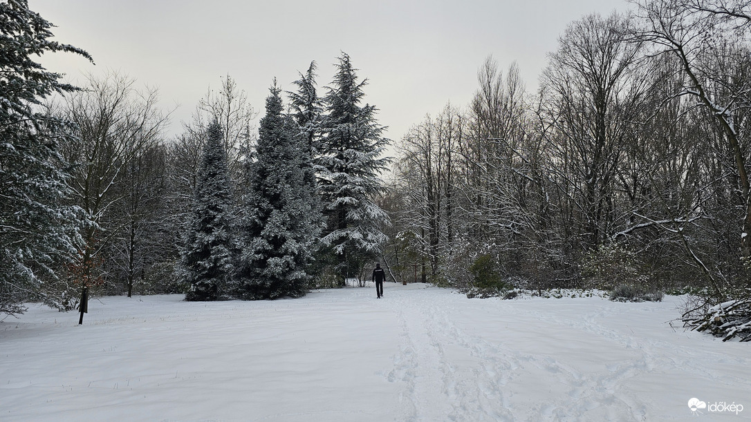 Kecskeméti arborétum 