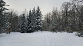 Kecskeméti arborétum 