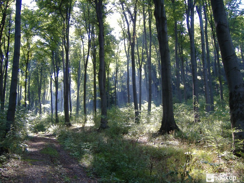 Budapest X.ker - Kőbánya