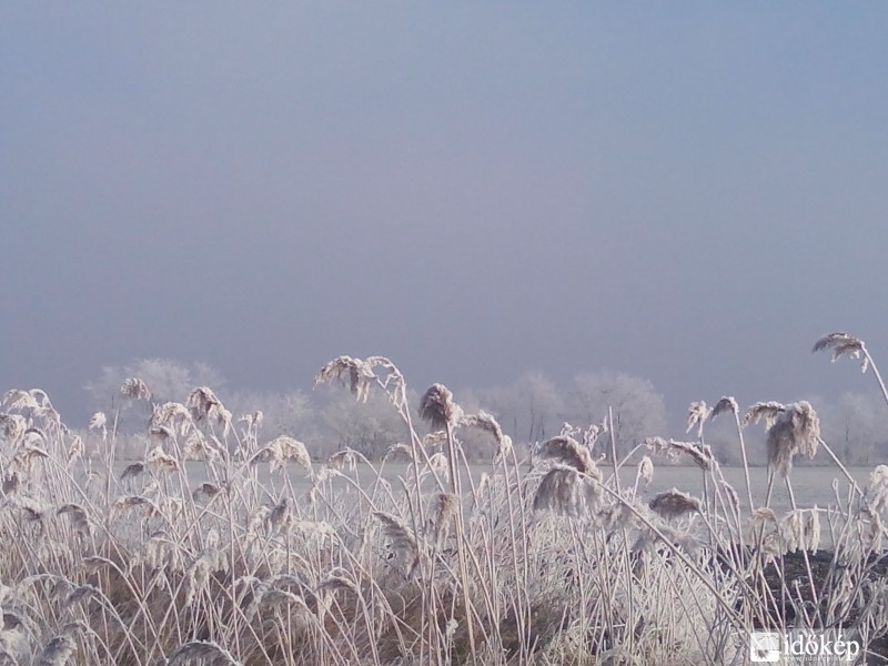 Hideg reggel a jászságban.-