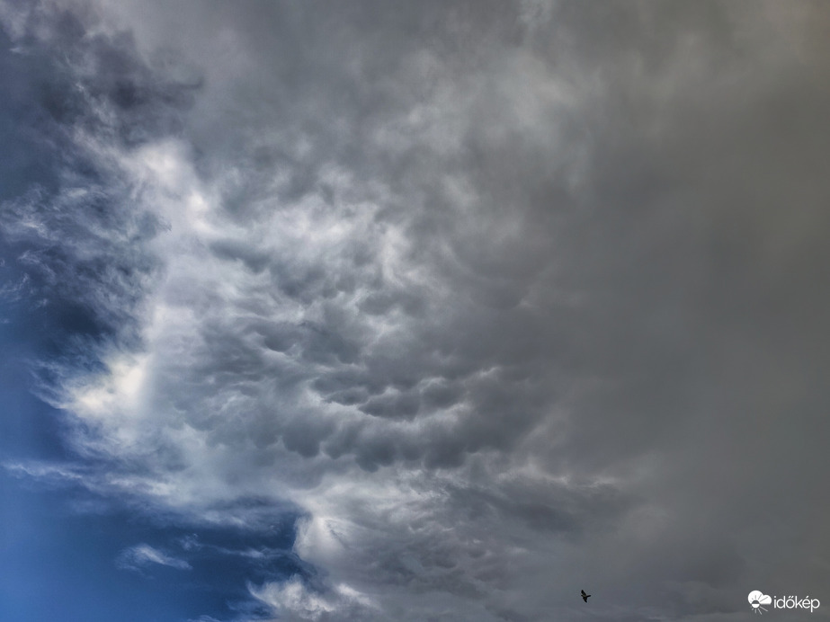 Mammák egy egykori zivatar hátoldalán