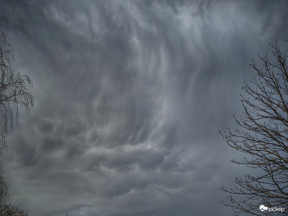 Mammás mozgalmasság