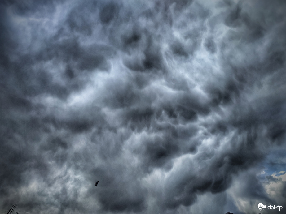 Érkeznek a hószemek