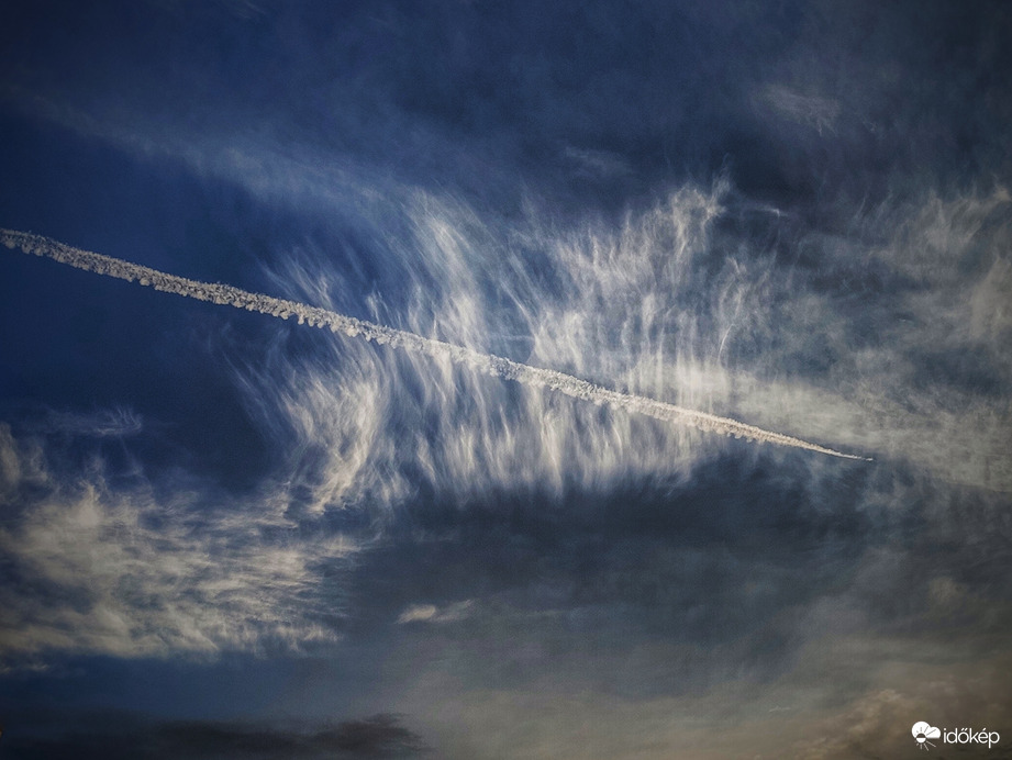 Nyársra tűzött Cirrus (hal)