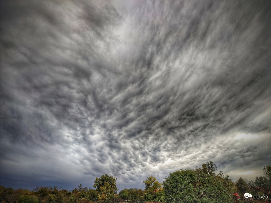 Nyarat megszégyenítő mamma mező érkezett