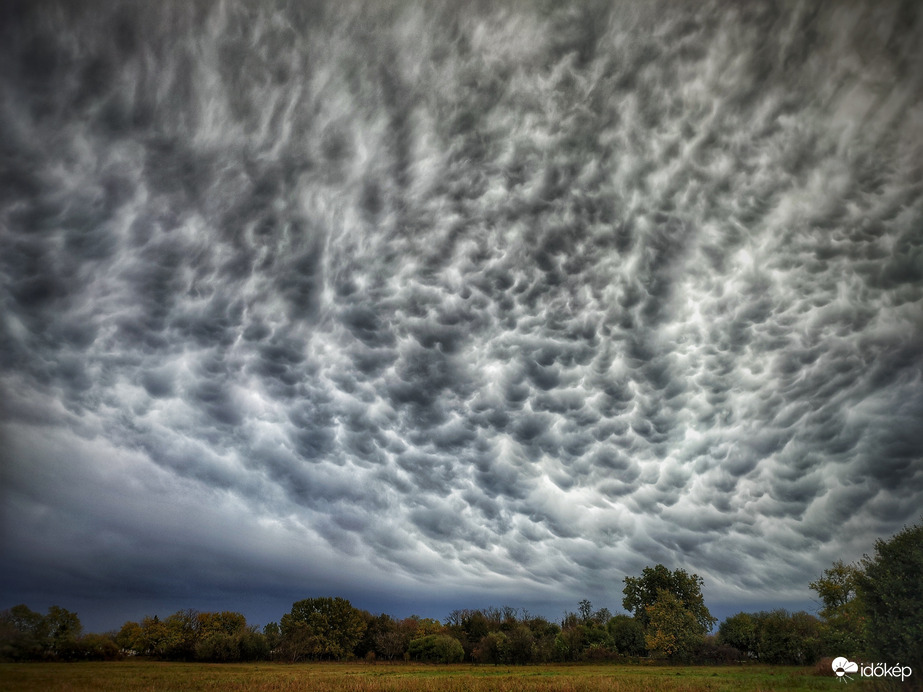 A valóságot lehetetlen visszaadni...