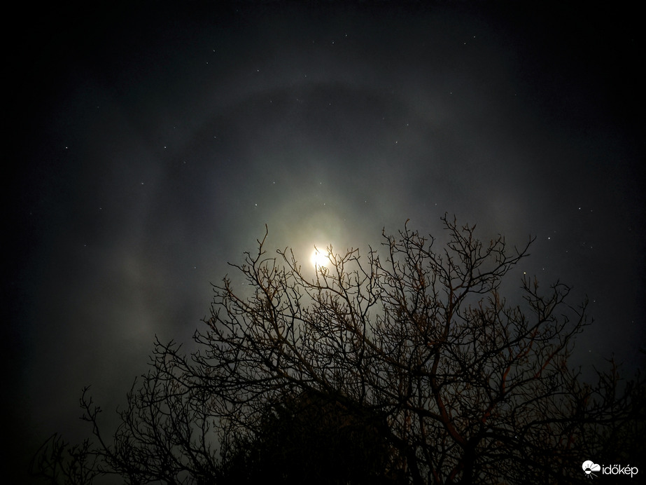 Az éjt beragyogó holdhaló a kopasz diófával