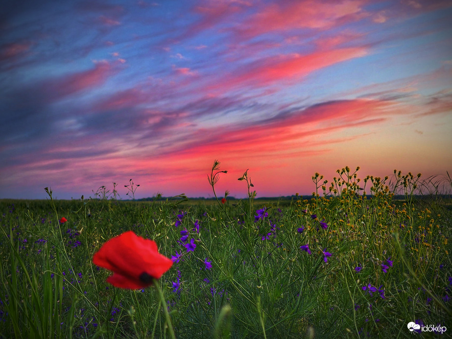 Festmény a pénteki napbúcsúról