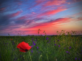 Festmény a pénteki napbúcsúról