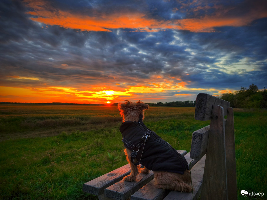 Egy naplementi pillanatban megpihenve