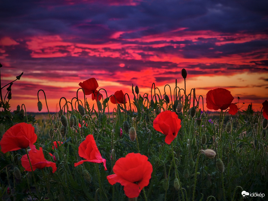 Összeértek az alkonyat égi és földi színei