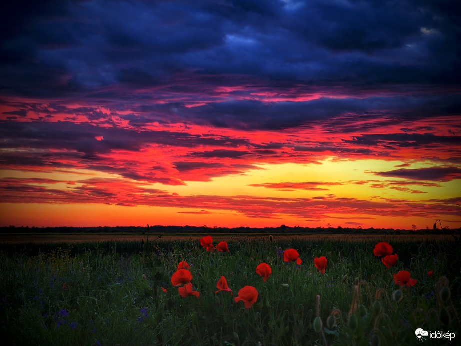 Újabb csodás májusi naplementével gazdagodtunk