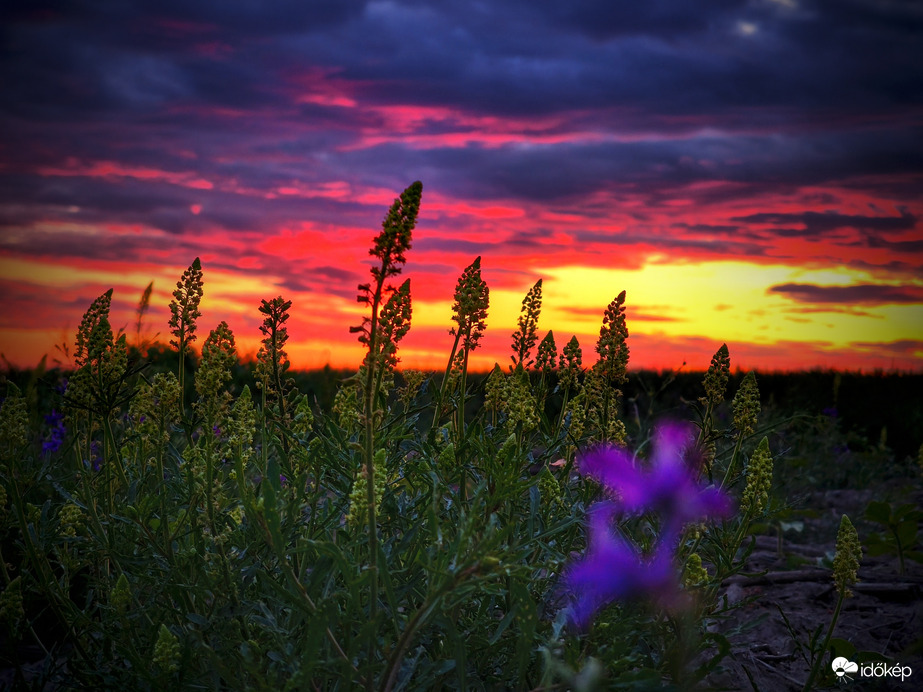 Hétfői naplementi csendélet
