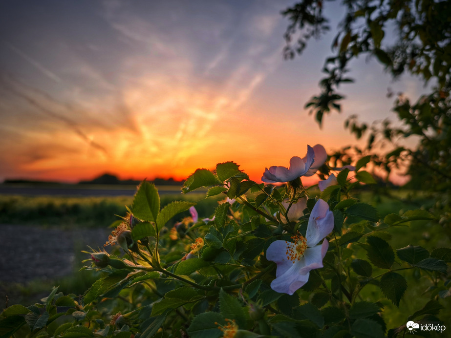 Meleg színű májusi naplemente