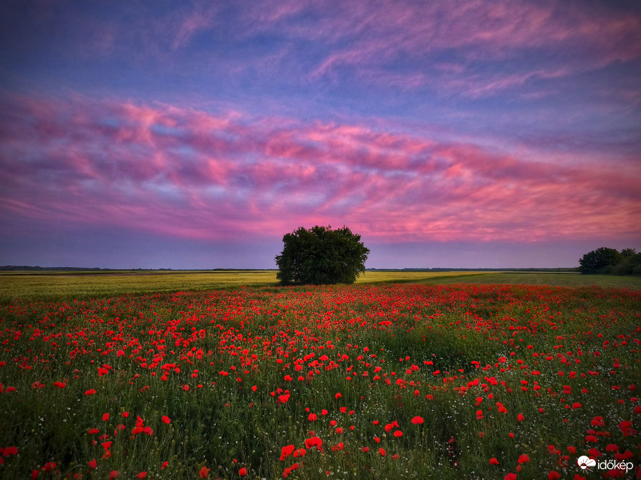 Képeslapra illő májusi naplemente
