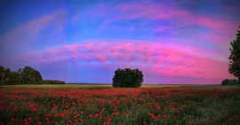 Pipacsos alkonyati panoráma