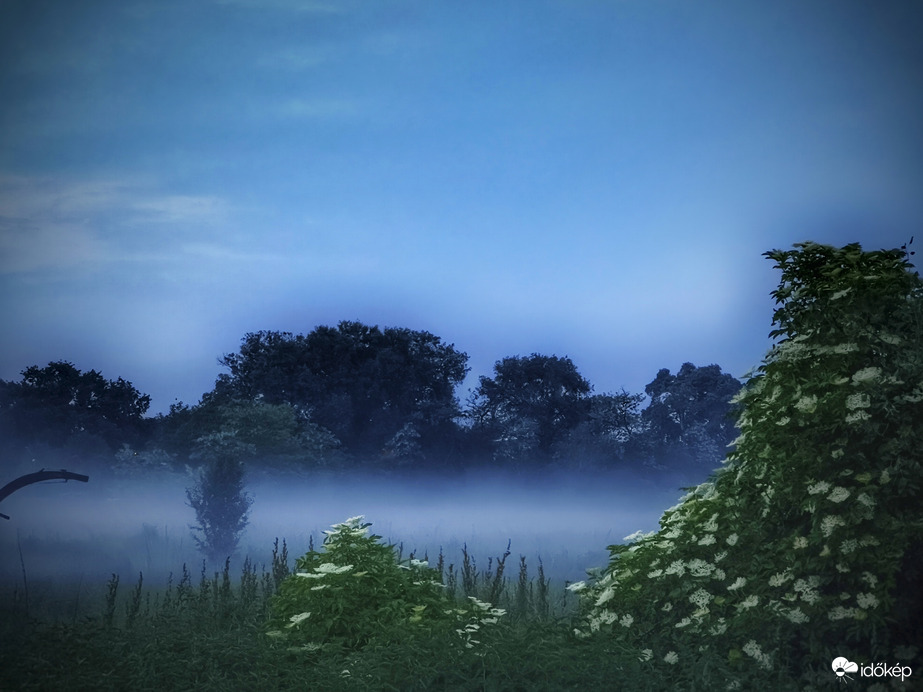 Kékórás sekély ködös táj