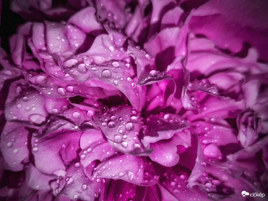 Csillogó kincsek eső után