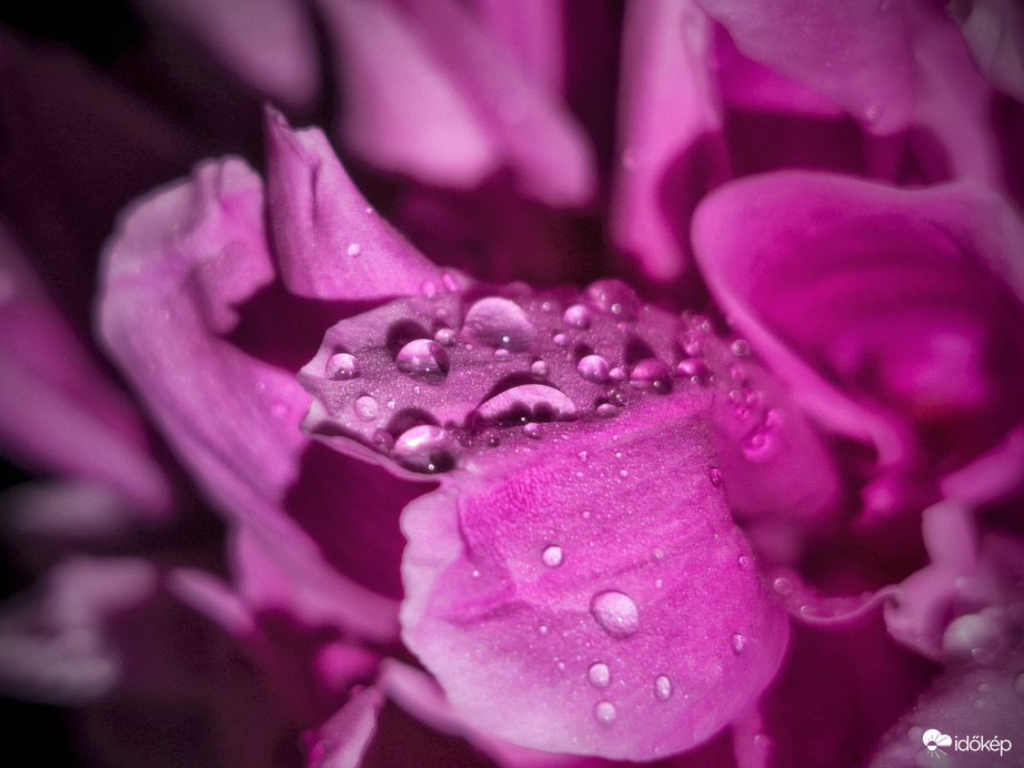 Gyöngyök kilátója