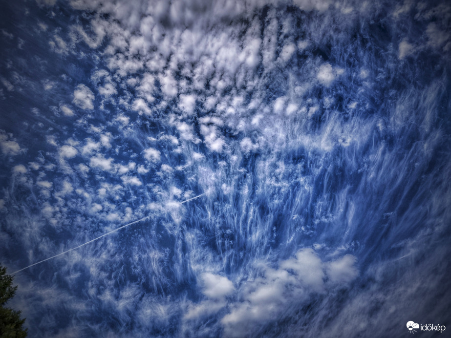 Kampók után karcsú medúzák érkeztek