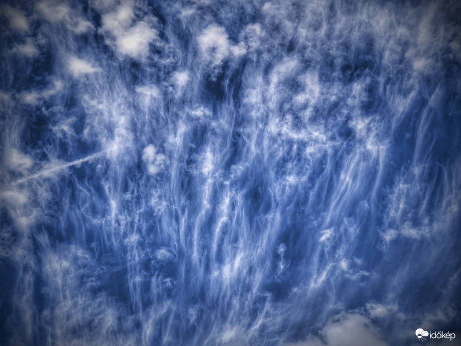 Medúzák összejövetele