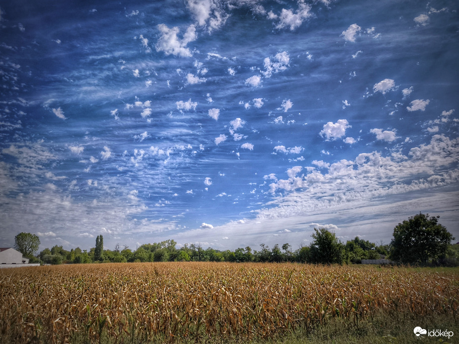 Felhővarázs a kiégett kukorica felett