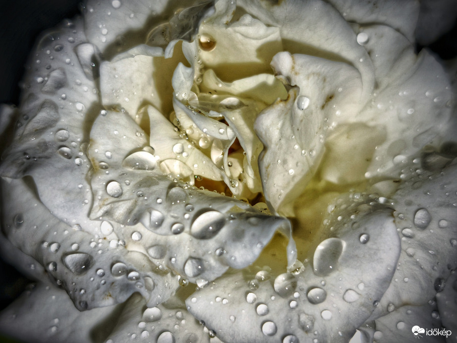 Csendes eső áztatja az ország felét