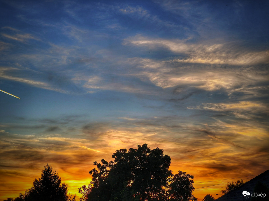 Alkonyati fellángolás a fa körül