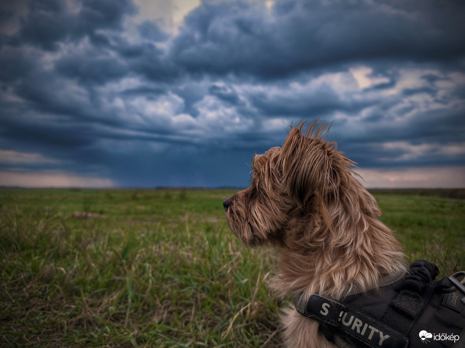 Naplemente helyett záport fürkésző Mazsola