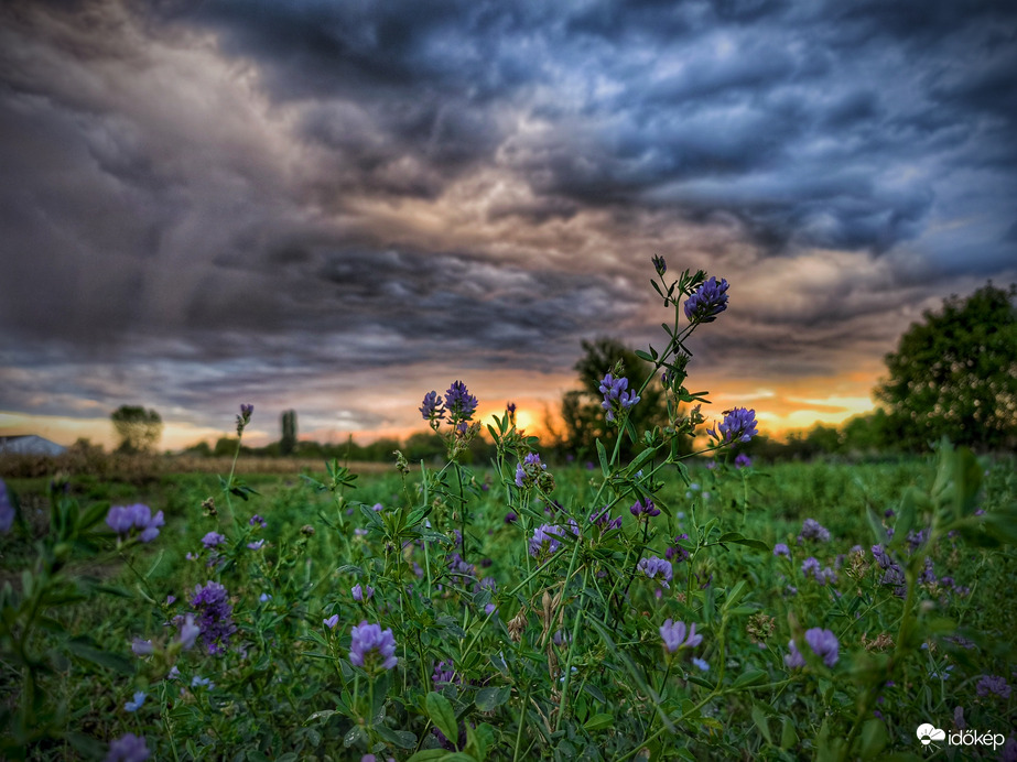 Zápor utáni felhővarázs a mezőn