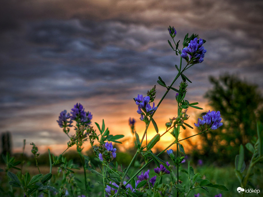 Lucernás égi dombormű