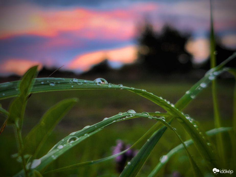 Zápor utáni cseppek
