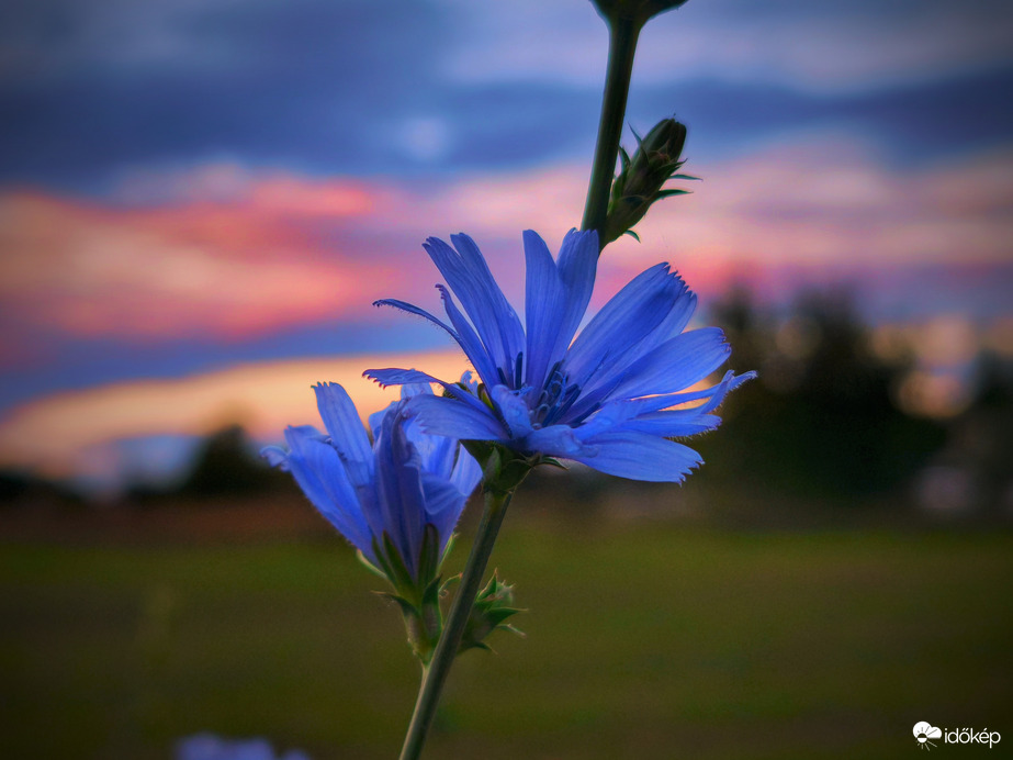 Katáng szeptember végén