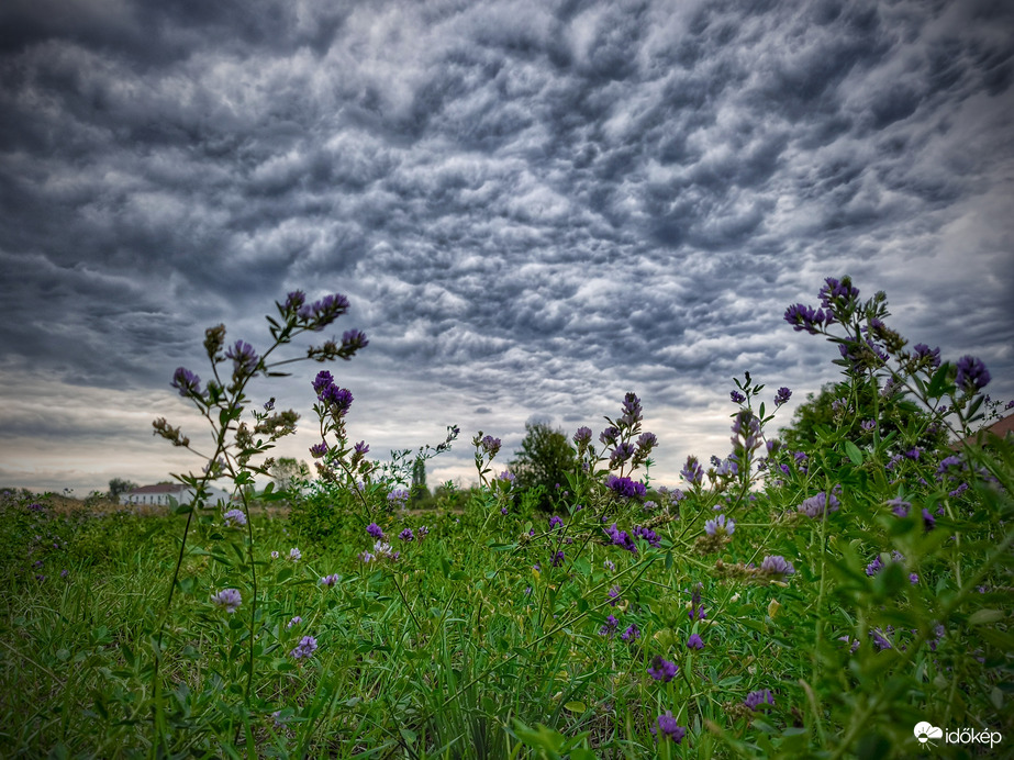 Borúba csempészett vidám színek