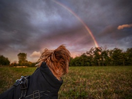 Szivárványlesen Mazsolával