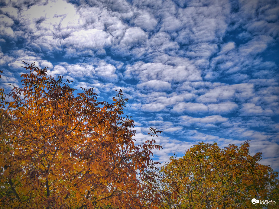 Diófa és az égbolt októberi pompája