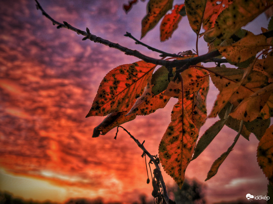 Őszi napkelte csodája