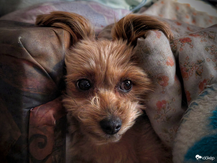 "Hallom, érkezik a front!"