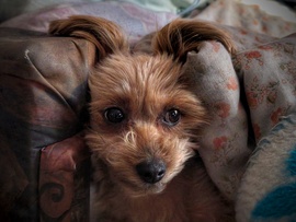 "Hallom, érkezik a front!"