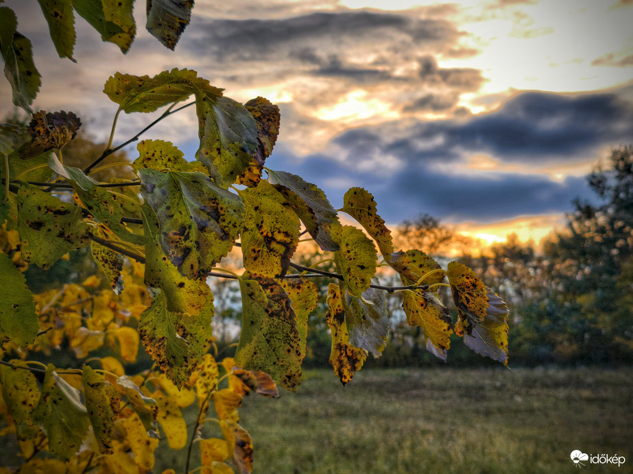 Őszi levelek az erősen felhős naplementekor