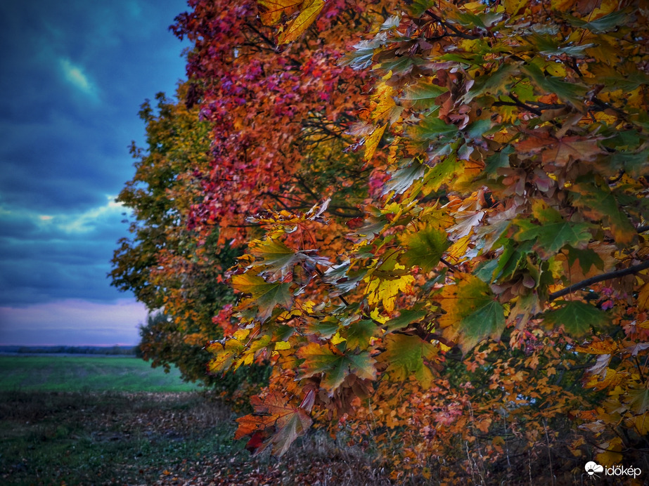 A naplemente színei az őszi fákra költöztek le