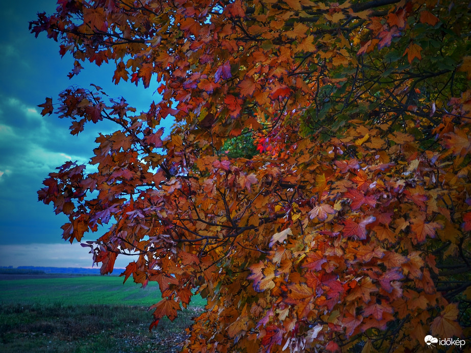 Borús naplementét kárpótló őszi varázslat