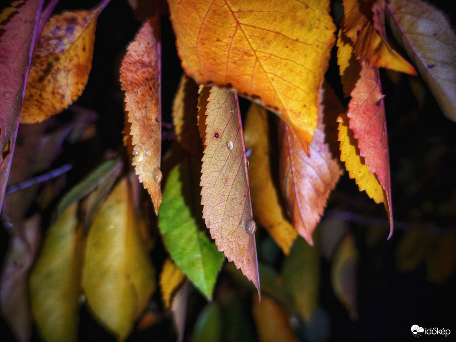 Benjamin frontja hamarosan ránk rontja az ajtót